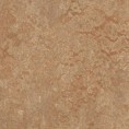 /products/3233-shitake-real/